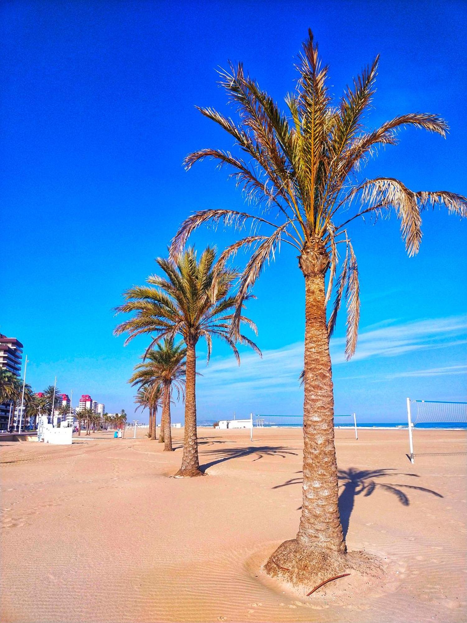 Apartment Europa Moderna Gandia